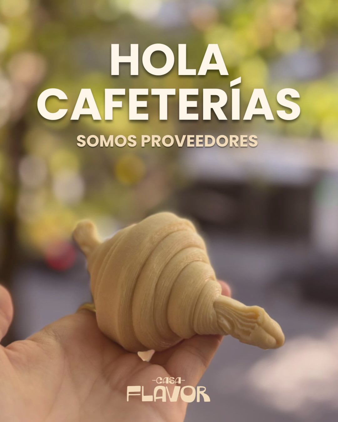 Casa Flavor