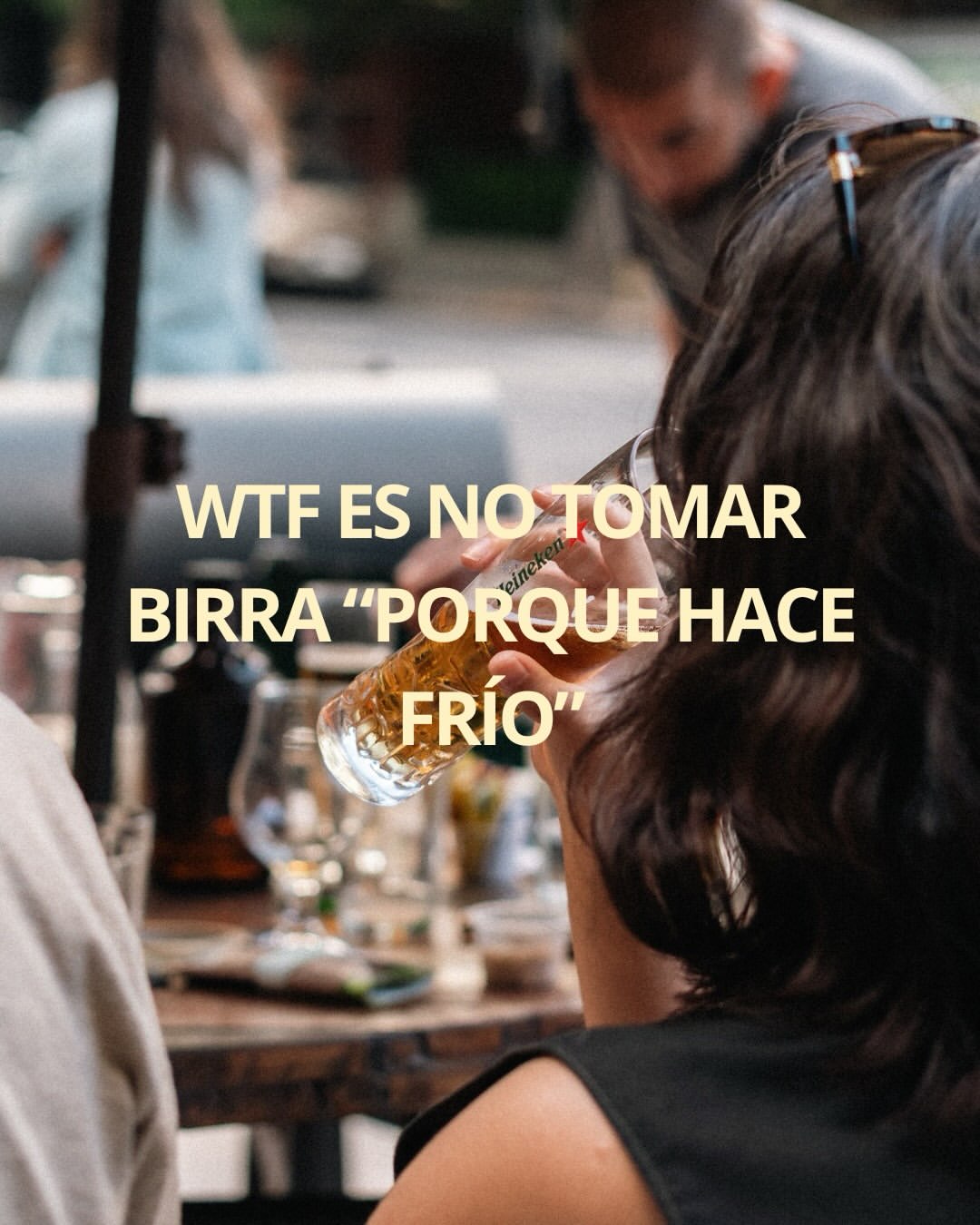 Holandes errante